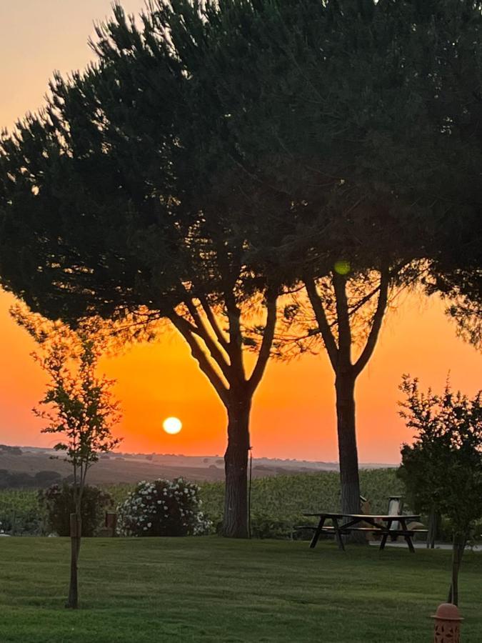Quinta Da Amoreira Ferreira Do Alentejo Εξωτερικό φωτογραφία