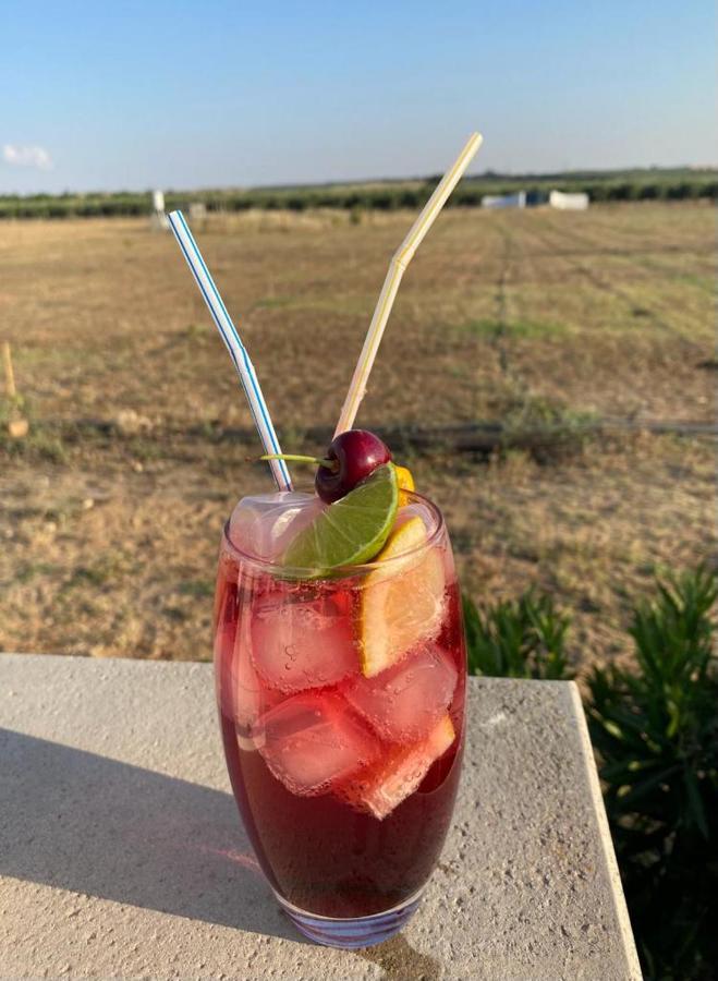 Quinta Da Amoreira Ferreira Do Alentejo Εξωτερικό φωτογραφία