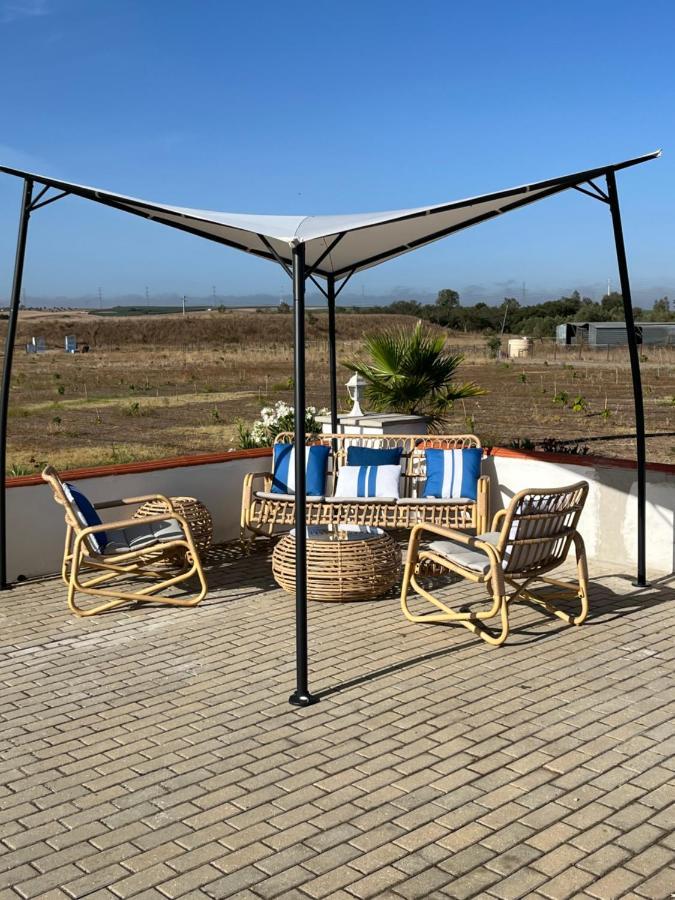 Quinta Da Amoreira Ferreira Do Alentejo Εξωτερικό φωτογραφία